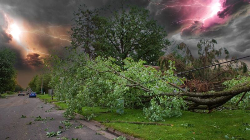 Lignes électriques tombées lors d'une tempête.